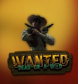 Wanted Dead or a Wild