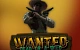 Wanted Dead or a Wild