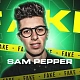 Sam Pepper on Stake: Sponsorship Math, Real Bankroll, Every Controversy in One Honest Breakdown