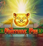 The Fortune Pig