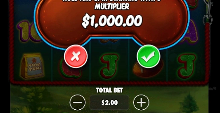 Screenshot 20Bet