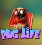 Pug life