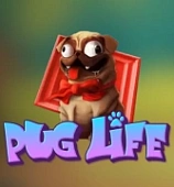 Pug life
