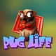 Pug life