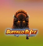 Buffalo Blitz