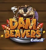 Dam Beavers