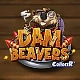 Dam Beavers