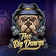 The Big Dawgs