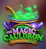 The Magic Cauldron - Enchanted Brew