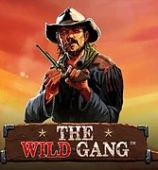 The Wild Gang