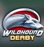 Wildhound Derby