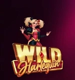Wild Harlequin