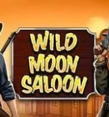 Wild Moon Saloon