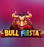 Bull Fiesta