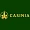 Casinia