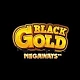 Black Gold Megaways