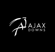 Ajax Downs Casino & Racetrack