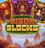 Bison Blocks