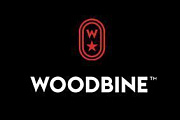Woodbine Casino