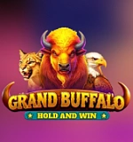 Grand Buffalo Hold & Win