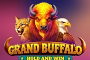 Grand Buffalo Hold & Win