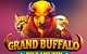 Grand Buffalo Hold & Win