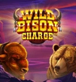 Wild Bison Charge