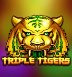 Triple Tigers