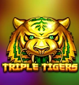 Triple Tigers
