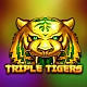 Triple Tigers