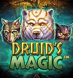 Druid’s Magic