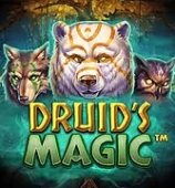 Druid’s Magic