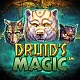 Druid’s Magic