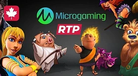 How to check the RTP of slots with the Microgaming provider