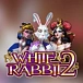 White Rabbit 2
