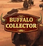 Buffalo Collector