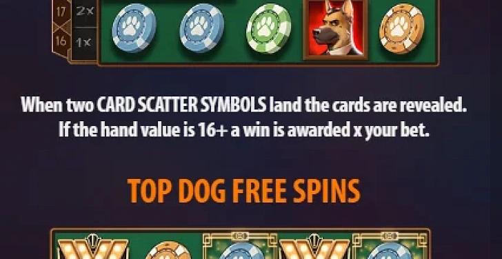 Screenshot 20Bet