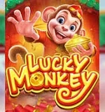Lucky Monkey