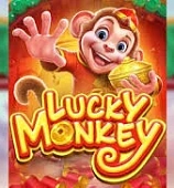 Lucky Monkey