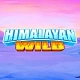 Himalayan Wild