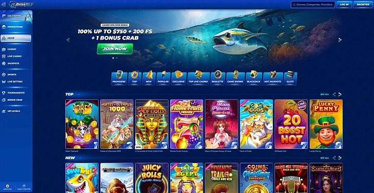 Screenshot 20Bet