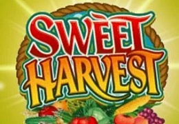 Sweet Harvest