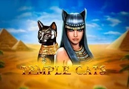 Temple Cats