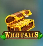 Wild Falls