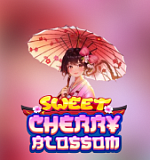 Sweet Cherry Blossom