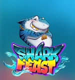  Shark Feast