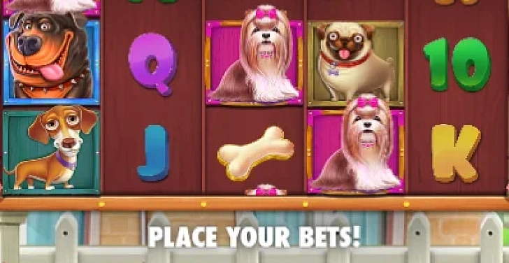 Screenshot 20Bet