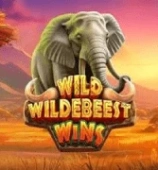Wild Wildebeest Wins