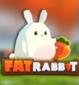Fat Rabbit