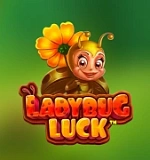 Ladybug Luck